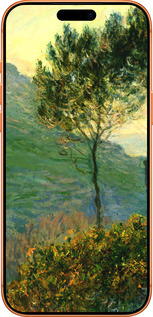 Силиконовый чехол Клод Моне для Apple iPhone 17 PRO MAX - 1193u-4029 изображение 