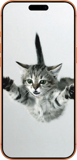 Силиконовый чехол Летящий котёнок для Apple iPhone 17 PRO MAX - 2322u-4029 изображение 