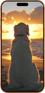 Силиконовый чехол Закат и собака для Apple iPhone 17 PRO MAX - 3966u-4029 изображение 