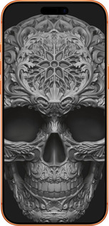 Силіконовий чехол skull-ornament для Apple iPhone 17 PRO MAX - 4101u-4029 изображение 