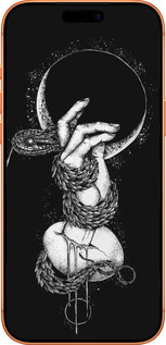 Силиконовый чехол Змея в руке для Apple iPhone 17 PRO MAX - 4149u-4029 изображение 