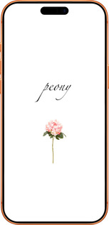 Силиконовый чехол Пион для Apple iPhone 17 PRO MAX - 4366u-4029 изображение 