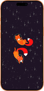 Силиконовый чехол Лисички в космосе для Apple iPhone 17 PRO MAX - 4519u-4029 изображение 