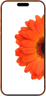 Силиконовый чехол Гербера 1 для Apple iPhone 17 PRO MAX - 4534u-4029 изображение 