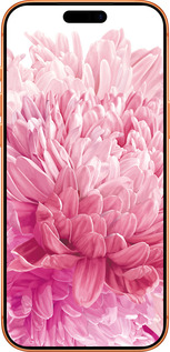 Силиконовый чехол Хризантема для Apple iPhone 17 PRO MAX - 4666u-4029 изображение 