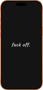 Силиконовый чехол Fuck off для Apple iPhone 17 PRO MAX - 4731u-4029 изображение 