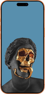 Силиконовый чехол Sculptures для Apple iPhone 17 PRO MAX - 4845u-4029 изображение 