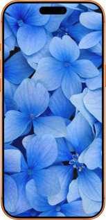 Силиконовый чехол Синие цветы для Apple iPhone 17 PRO MAX - 526u-4029 изображение 