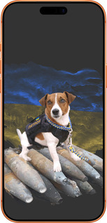 Силіконовий чехол Патрон  для Apple iPhone 17 PRO MAX - 5320u-4029 изображение 