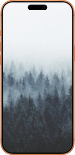 Силиконовый чехол № 5406 для Apple iPhone 17 PRO MAX - 5406u-4029 изображение 