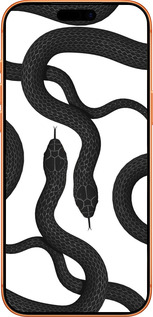 Силиконовый чехол Змеи для Apple iPhone 17 PRO MAX - 5473u-4029 изображение 