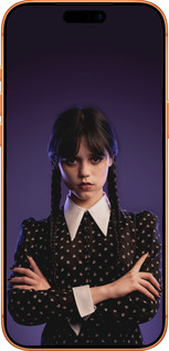 Силиконовый чехол Wednesday v3 для Apple iPhone 17 PRO MAX - 5517u-4029 изображение 