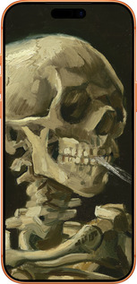 Силиконовый чехол Винсент Ван Гог. Череп для Apple iPhone 17 PRO MAX - 5544u-4029 изображение 