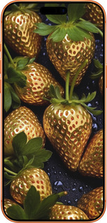 Силиконовый чехол Золотая клубника для Apple iPhone 17 PRO MAX - 5637u-4029 изображение 