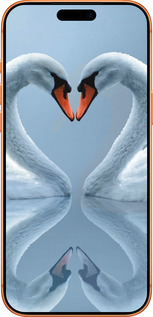 Силиконовый чехол Лебеди для Apple iPhone 17 PRO MAX - 6007u-4029 изображение 