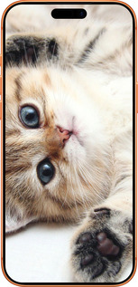 Силиконовый чехол Котик для Apple iPhone 17 PRO MAX - 6024u-4029 изображение 