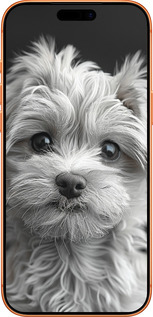 Силиконовый чехол Мальтипу на чорном фоне для Apple iPhone 17 PRO MAX - 6156u-4029 изображение 