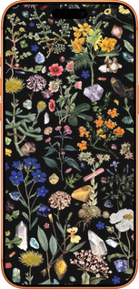 Силиконовый чехол С цветами для Apple iPhone 17 PRO MAX - 6422u-4029 изображение 