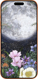 Силиконовый чехол Полночь в саду II для Apple iPhone 17 PRO MAX - 6424u-4029 изображение 