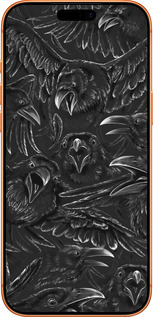 Силиконовый чехол Воронья ярость для Apple iPhone 17 PRO MAX - 6474u-4029 изображение 