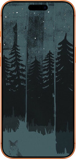 Силиконовый чехол Лиса и ночной лес для Apple iPhone 17 PRO MAX - 6481u-4029 изображение 