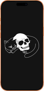 Силиконовый чехол С изображением кота и черепа для Apple iPhone 17 PRO MAX - 6491u-4029 изображение 