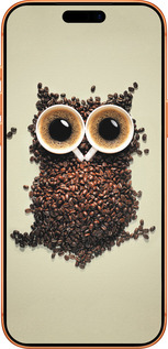Силиконовый чехол Сова из кофе для Apple iPhone 17 PRO MAX - 777u-4029 изображение 