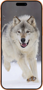 Силиконовый чехол Бегущий волк для Apple iPhone 17 PRO MAX - 826u-4029 изображение 