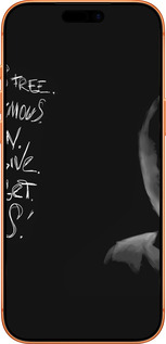 Силиконовый чехол Анонимус для Apple iPhone 17 PRO MAX - 832u-4029 изображение 