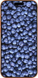 Силиконовый чехол Черника для Apple iPhone 17 PRO MAX - 851u-4029 изображение 