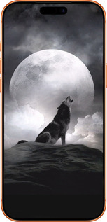 Силиконовый чехол Воющий волк для Apple iPhone 17 PRO MAX - 934u-4029 изображение 