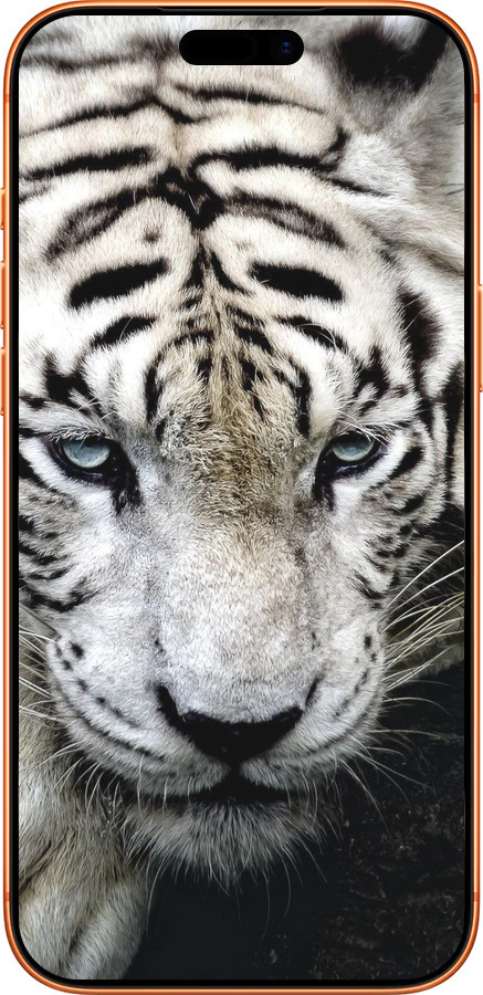 Силиконовый чехол Грустный белый тигр для Apple iPhone 17 PRO MAX - 106u-4029 изображение 