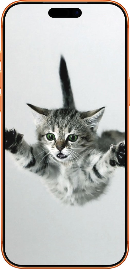 Силиконовый чехол Летящий котёнок для Apple iPhone 17 PRO MAX - 2322u-4029 изображение 