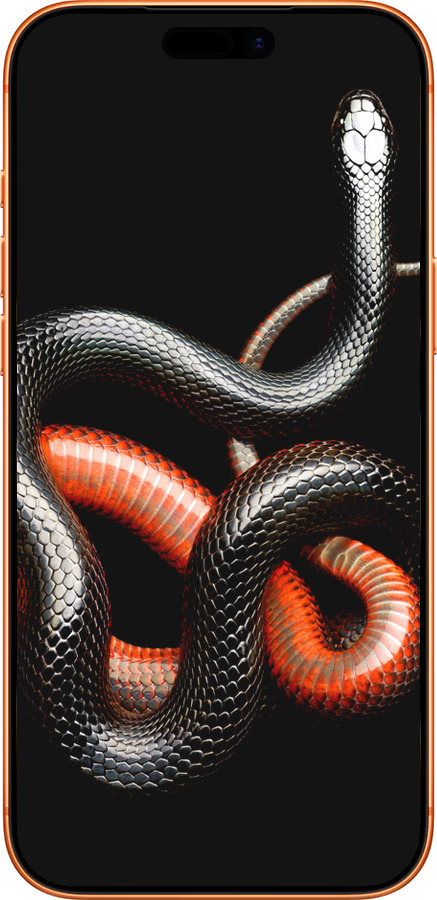 Силиконовый чехол Красно-черная змея на черном фоне для Apple iPhone 17 PRO MAX - 4063u-4029 изображение 