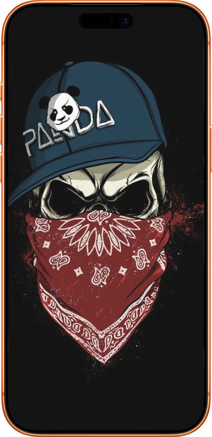 Силиконовый чехол Череп в кепке для Apple iPhone 17 PRO MAX - 4127u-4029 изображение 