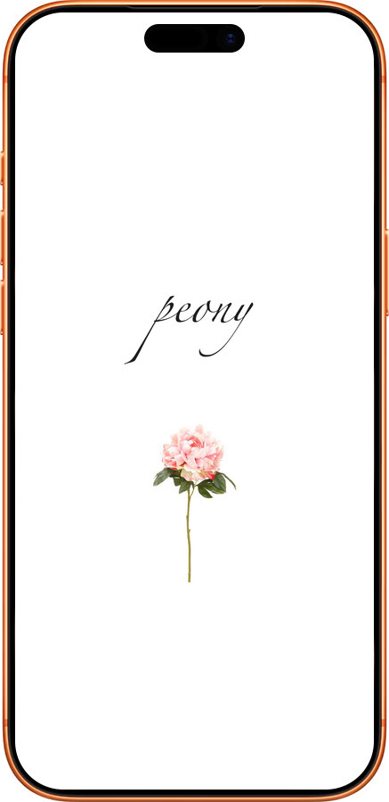 Силиконовый чехол Пион для Apple iPhone 17 PRO MAX - 4366u-4029 изображение 