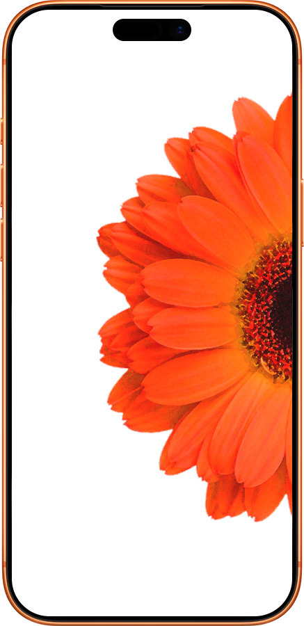 Силиконовый чехол Гербера 1 для Apple iPhone 17 PRO MAX - 4534u-4029 изображение 