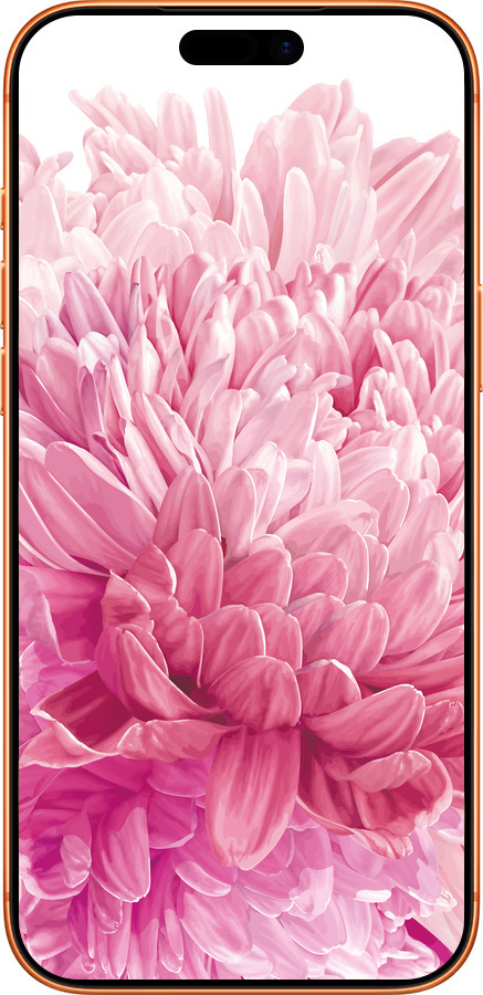 Силиконовый чехол Хризантема для Apple iPhone 17 PRO MAX - 4666u-4029 изображение 