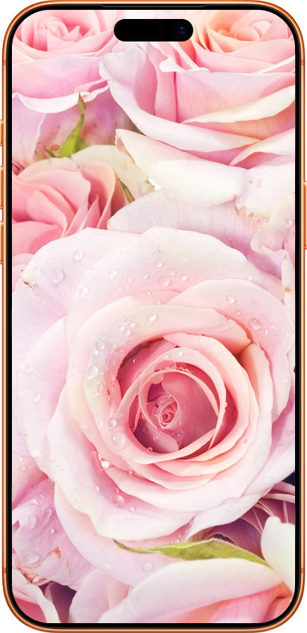 Силиконовый чехол Розы для Apple iPhone 17 PRO MAX - 525u-4029 изображение 