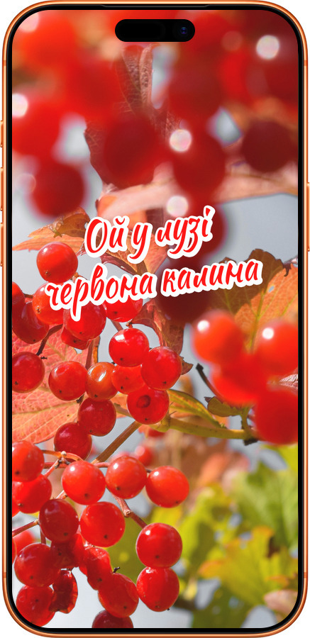 Силиконовый чехол Калина для Apple iPhone 17 PRO MAX - 5454u-4029 изображение 