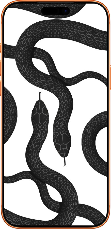 Силиконовый чехол Змеи для Apple iPhone 17 PRO MAX - 5473u-4029 изображение 