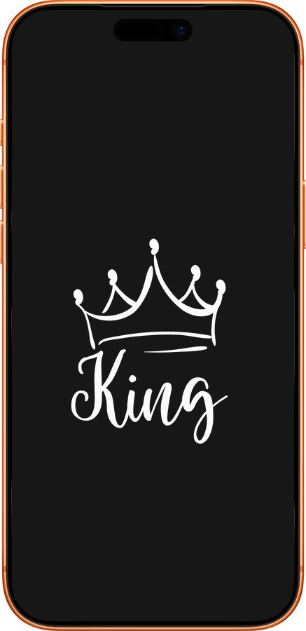 Силиконовый чехол Queen & King для него для Apple iPhone 17 PRO MAX - 5521u-4029 изображение 