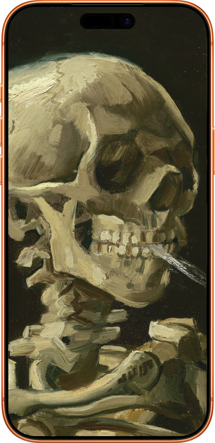 Силиконовый чехол Винсент Ван Гог. Череп для Apple iPhone 17 PRO MAX - 5544u-4029 изображение 