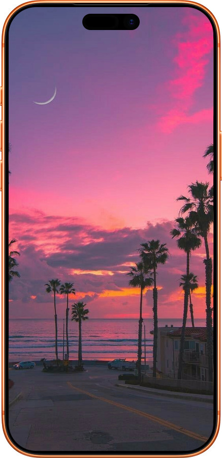 Силиконовый чехол Пальмы для Apple iPhone 17 PRO MAX - 5873u-4029 изображение 