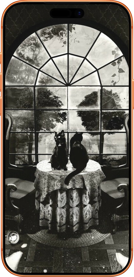 Силиконовый чехол Череп и коты для Apple iPhone 17 PRO MAX - 6432u-4029 изображение 