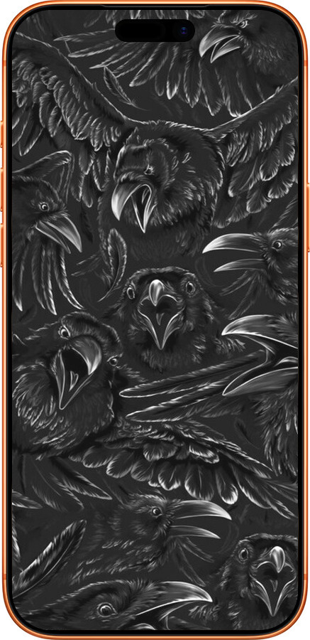 Силиконовый чехол Воронья ярость для Apple iPhone 17 PRO MAX - 6474u-4029 изображение 