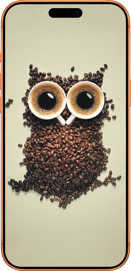 Силиконовый чехол Сова из кофе для Apple iPhone 17 PRO MAX - 777u-4029 изображение 
