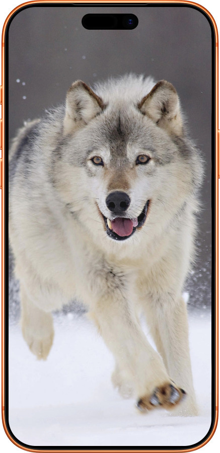 Силиконовый чехол Бегущий волк для Apple iPhone 17 PRO MAX - 826u-4029 изображение 