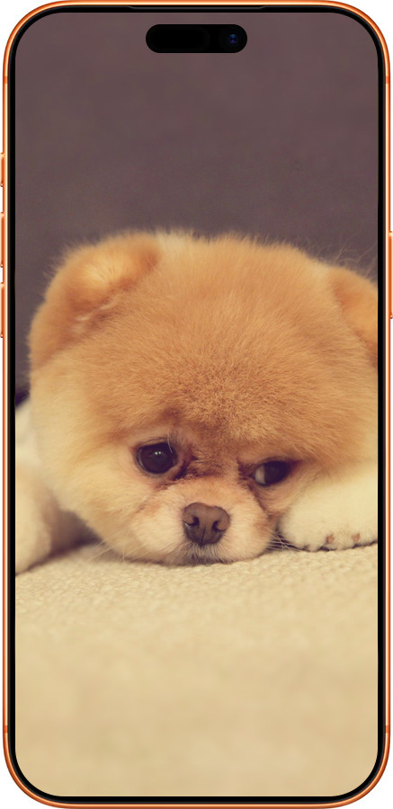 Силиконовый чехол Boo 2 для Apple iPhone 17 PRO MAX - 890u-4029 изображение 