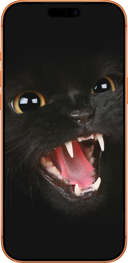 Силиконовый чехол Чёрная кошка для Apple iPhone 17 PRO MAX - 932u-4029 изображение 